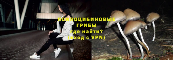ALPHA-PVP Армянск
