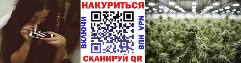 МАРИХУАНА сатива  Свирск 
